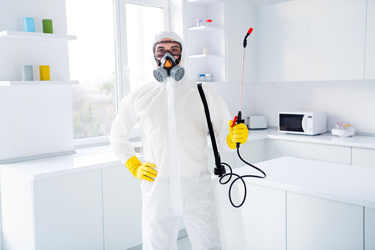 deratiseur rats paris